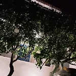 Chrysa's