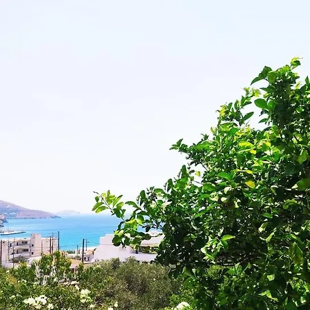 Chrysa's * Batsi (Andros)