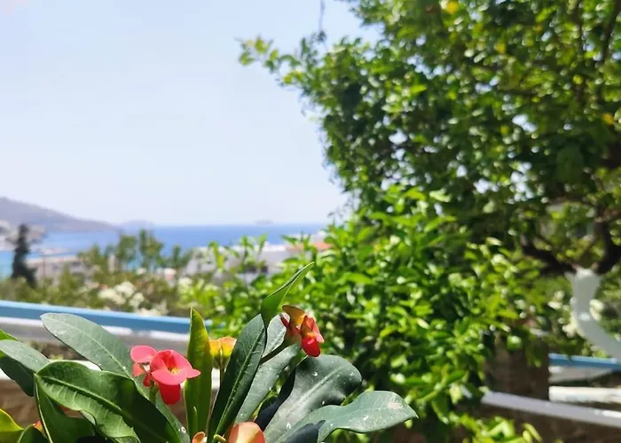 Chrysa's Appartement